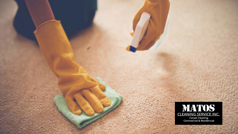 Cleaning professionals – Matos Cleaning Services
